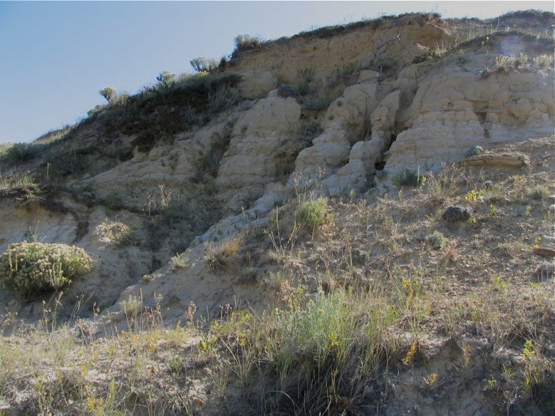 Rockglen Trails 