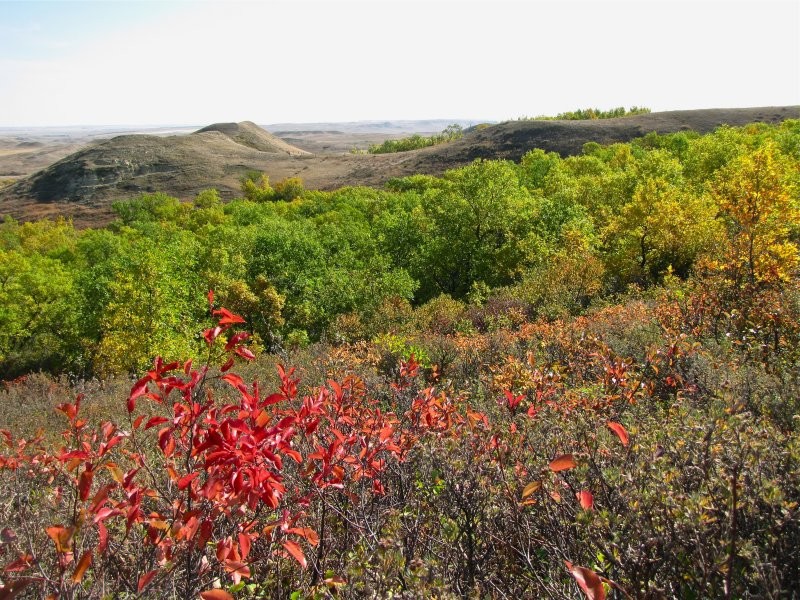 Rockglen Trails 