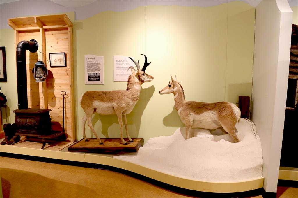 Swift Current Museum & Visitor Centre