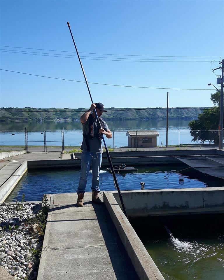 Saskatchewan Fish Hatchery