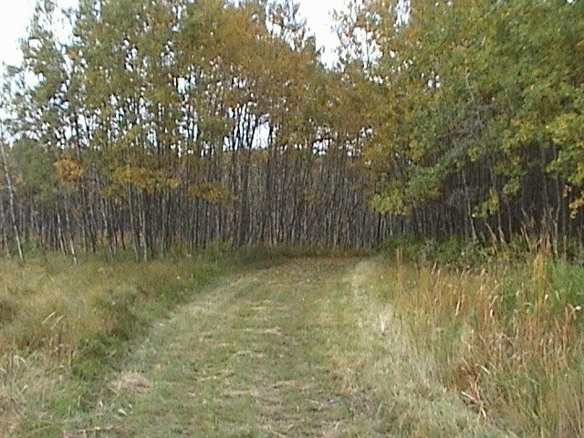 Neudorf Trails 