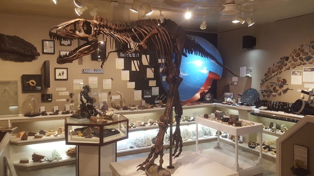 Sesula Mineral and Gem Museum and Rock Shop houses Canada's only baby T.rex