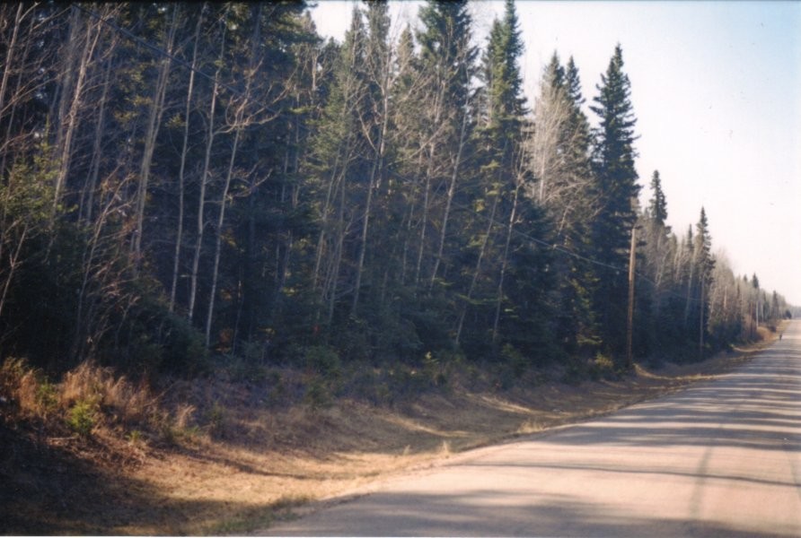 Candle Lake Trails - Simon Lehne Trail