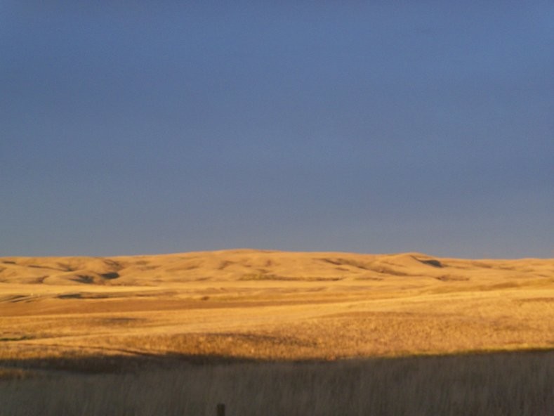 Spring Valley landscape