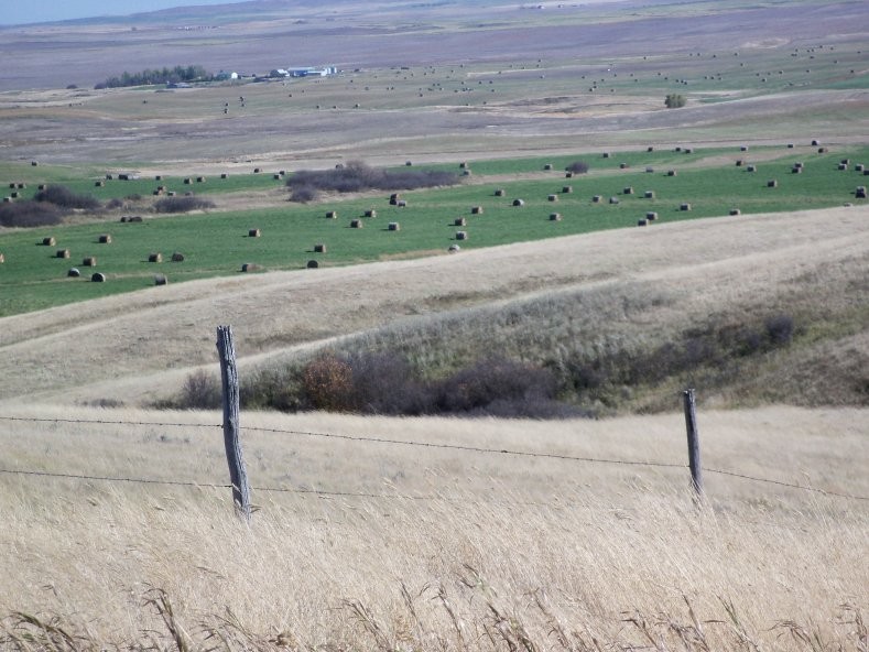 Spring Valley landscape