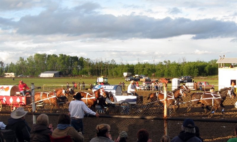 Chuckwagon racing is the major attraction at the annual Fair Days and at least three local drivers usually qualify to race at Calgary.