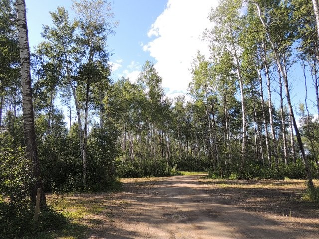 Stoney Bay Campground 