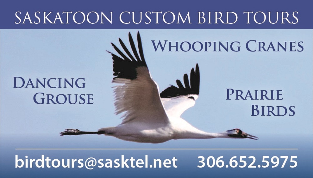 Saskatoon Custom Bird Tours