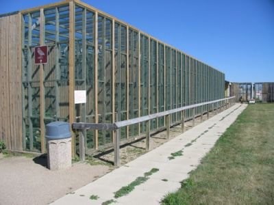 During the summer, the Burrowing Owls spend their time in these roomy pens.