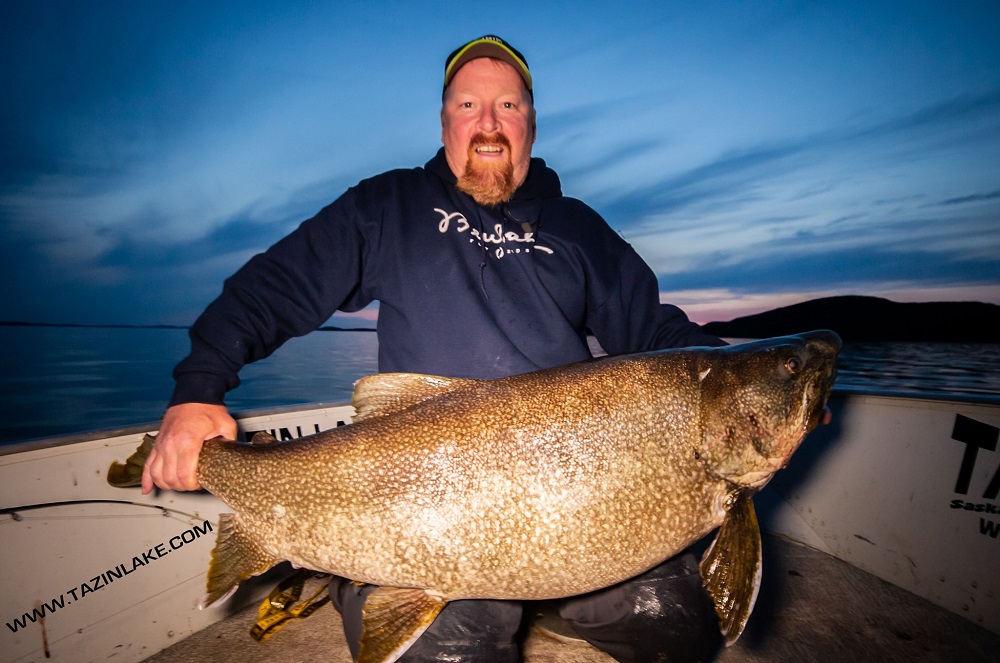 Tazin Lake Lodge - 60 lb. Lake trout