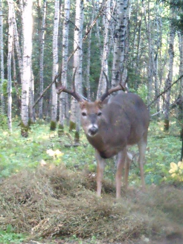 Trails End Outfitters 