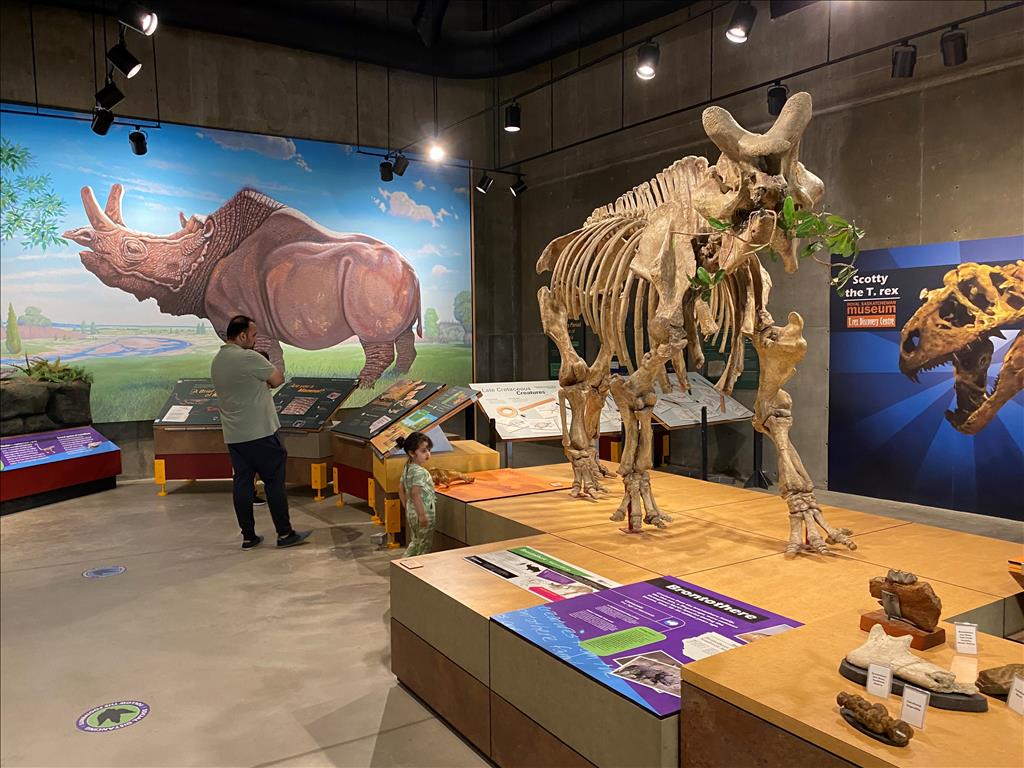 T.rex Discovery Centre