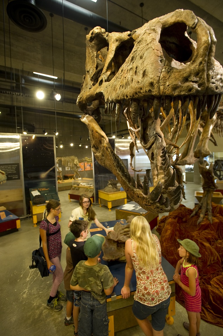 T.rex Discovery Centre, Eastend