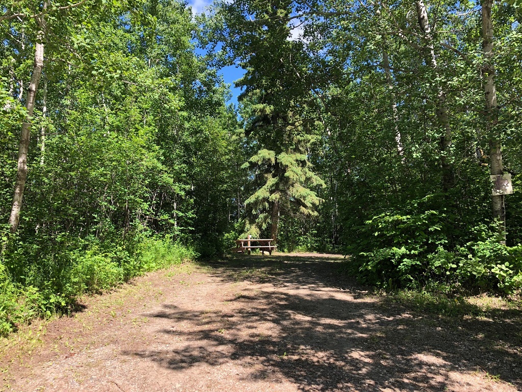 Turtle River Campground - Site 14