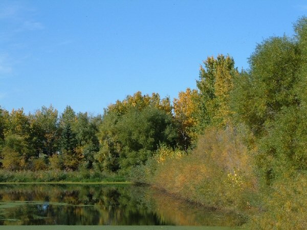 Waldheim Regional Park