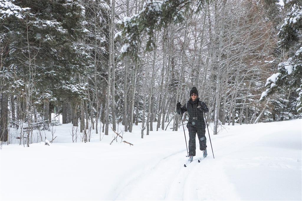 Waskesiu Lake Trails