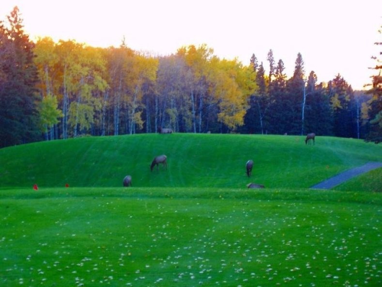 Elk Ridge on the Lake All Season Lodge and Convention Centre