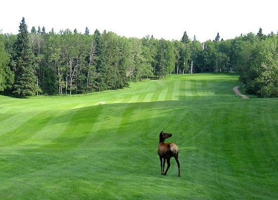 Elk Ridge on the Lake All Season Lodge and Convention Centre