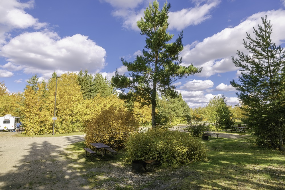 Weaver Park Campground