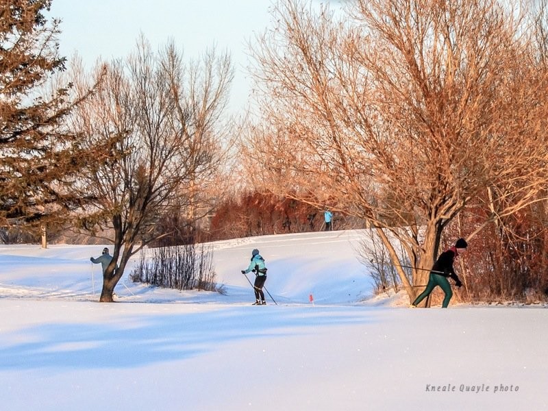 Saskatoon Cross-Country Ski Trails - Wildwood Golf Course - Photo: Kneale Quayle
