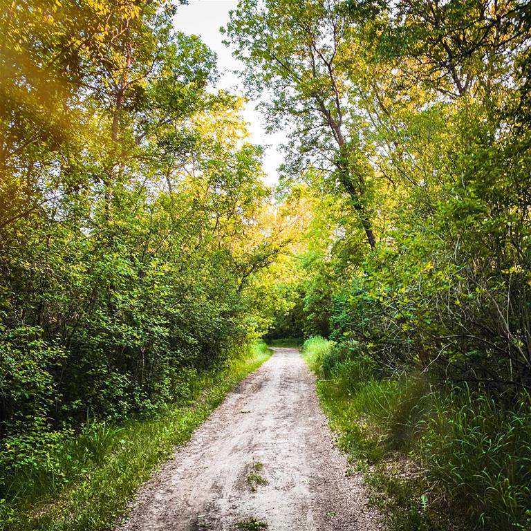 Woodlawn Regional Park