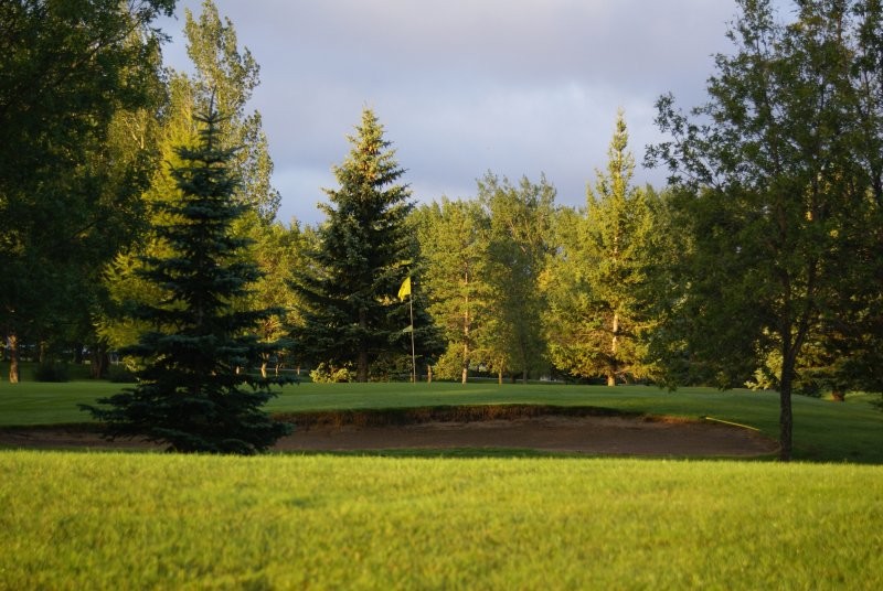 Wynyard Golf Club 