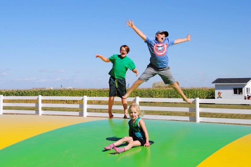 Youth Farm Corn Maze