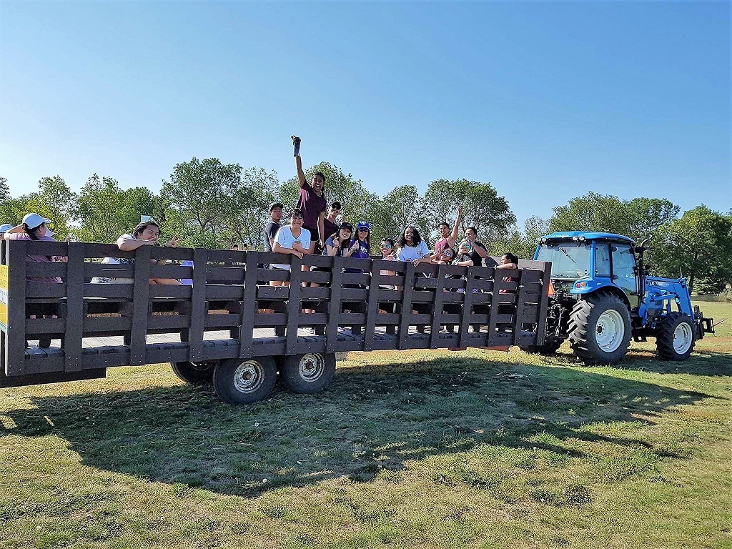 Youth Farm Corn Maze