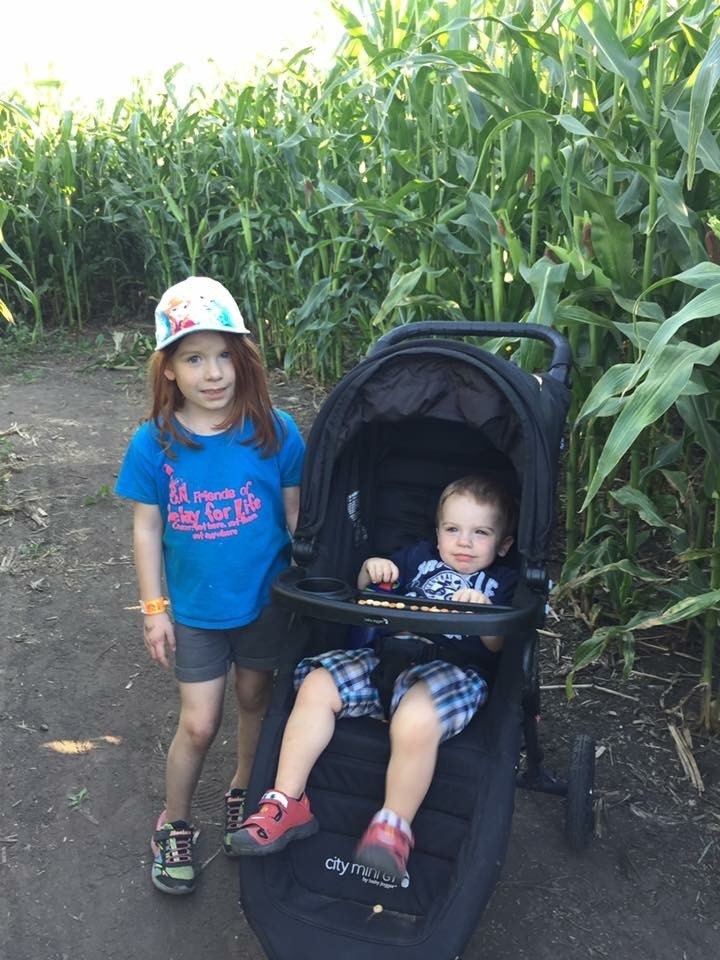 Youth Farm Corn Maze