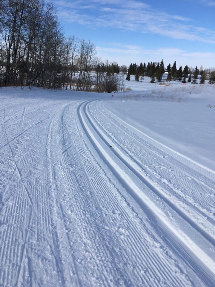 Yorkton Cross-country Ski Club