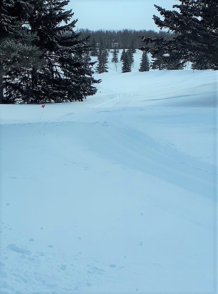 Yorkton Cross-country Ski Club