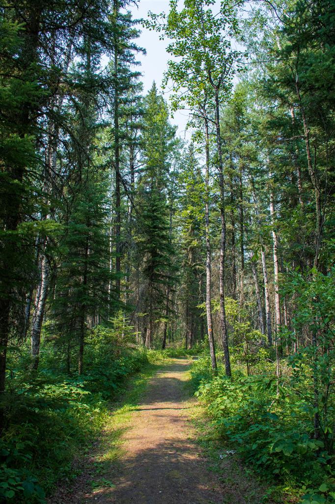 Aschim Homestead Heritage Forest