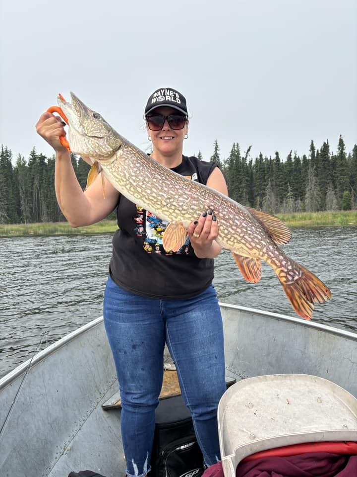 Black Bear Island Lodge