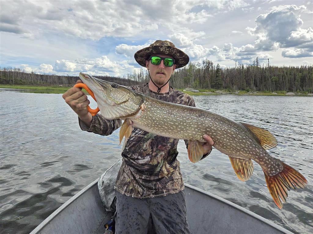 Black Bear Island Lodge