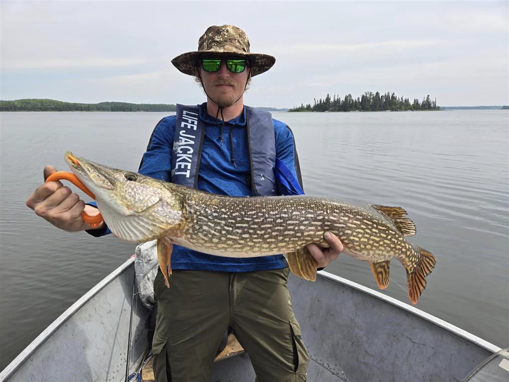 Black Bear Island Lodge