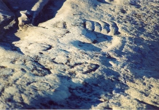 St. Victor Petroglyphs Provincial Historic Park