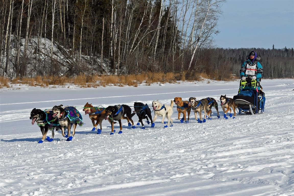 Eagle Ridge Dog Sled Tours