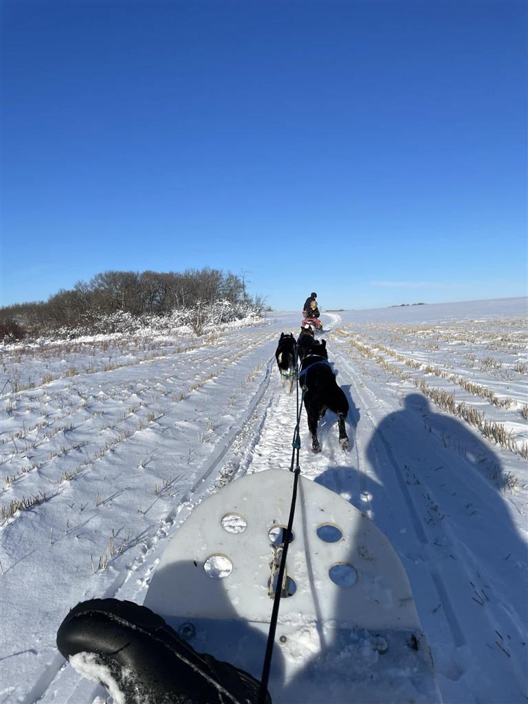 Eagle Ridge Dog Sled Tours