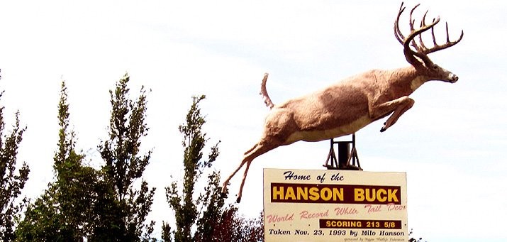Famous symbols of Biggar are Milo Hanson and The Hanson Buck - This Buck is the world record (213 1/8) typical White Tailed Deer