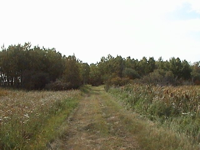 Neudorf Trails 