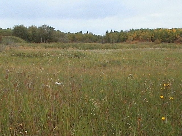 Neudorf Trails 