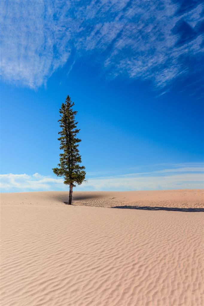 Athabasca Sand Dunes Provincial Park