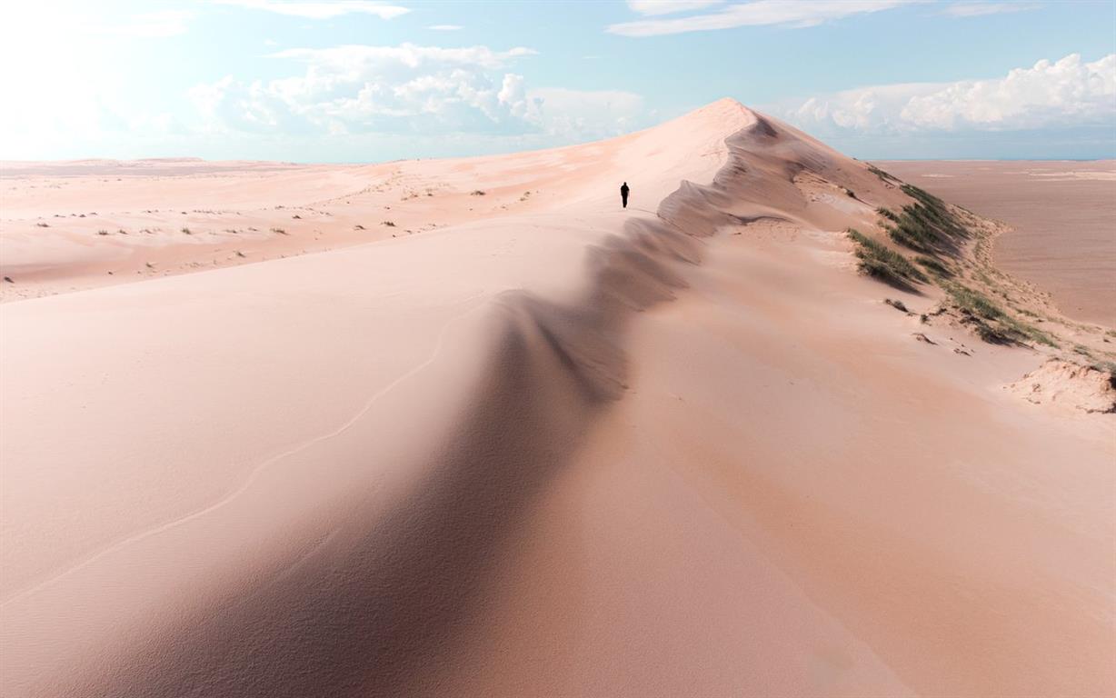 Athabasca Sand Dunes Provincial Park