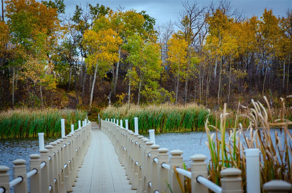 Ravine Ecological Preserve