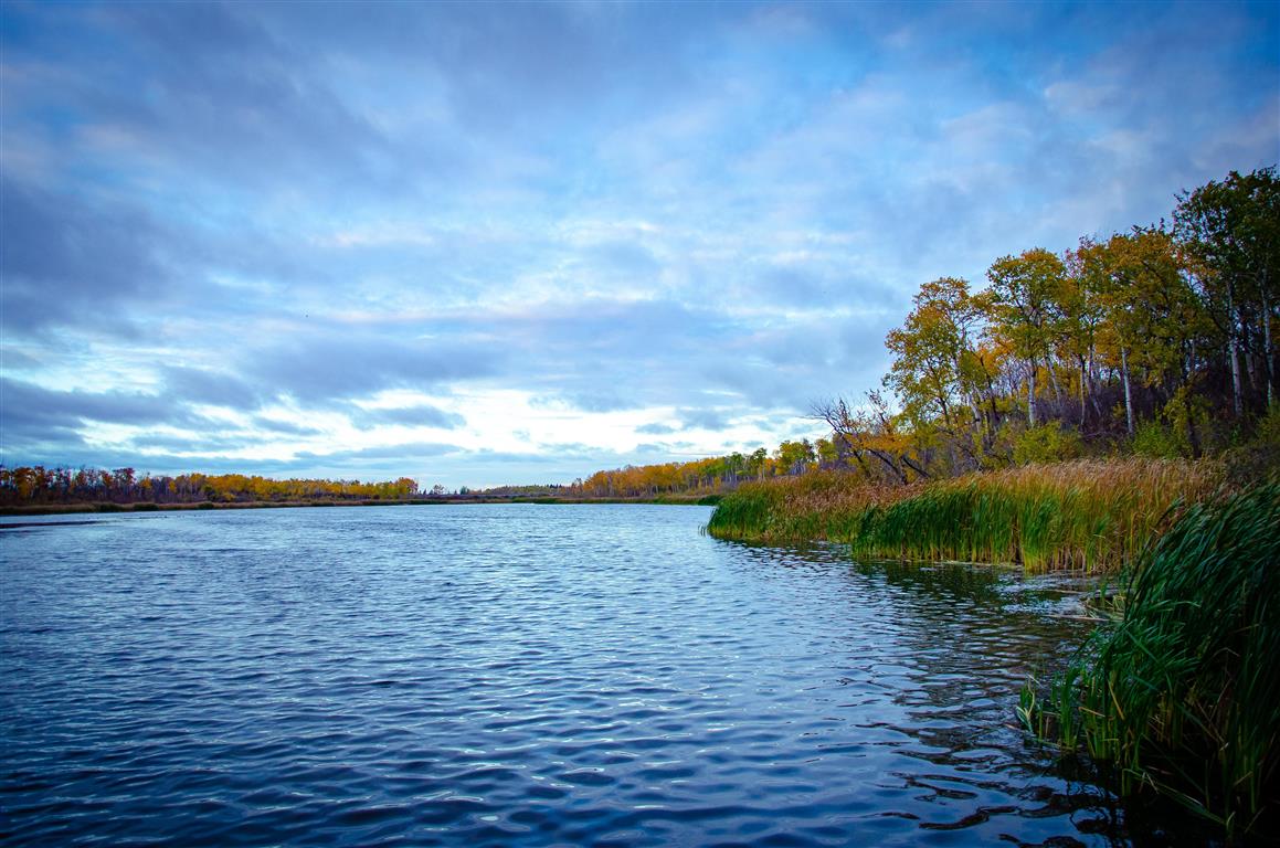 Ravine Ecological Preserve