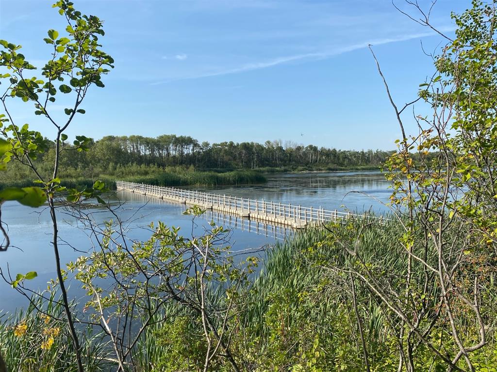 Ravine Ecological Preserve