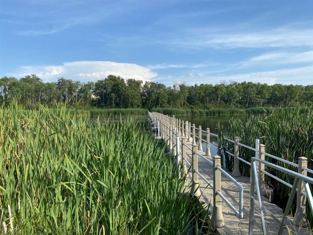 Ravine Ecological Preserve