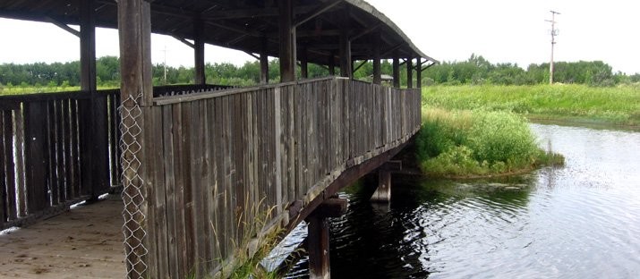 The Trout Pond which sits surrounded by the Golf Course, is also part of the Biggar Recreational Park. The trout pond has fishing off a covered bridge.