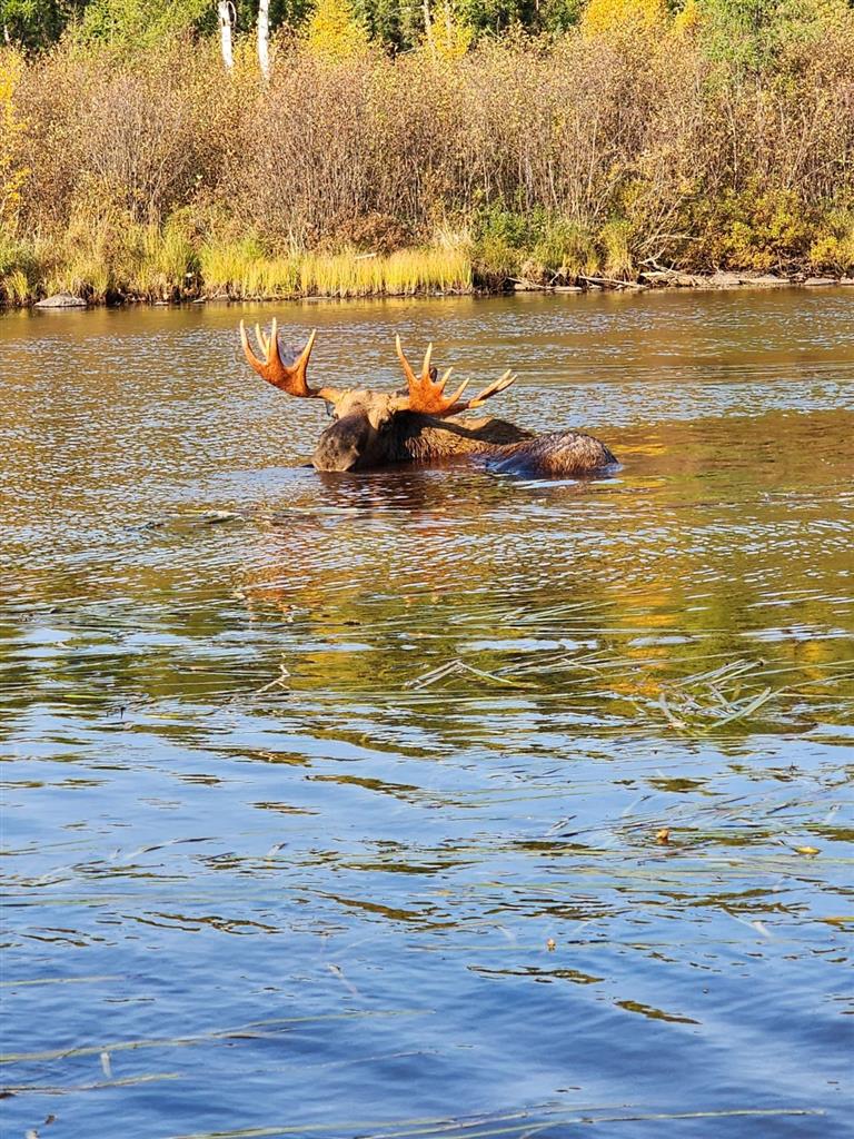 Reindeer Lake Trout Camp