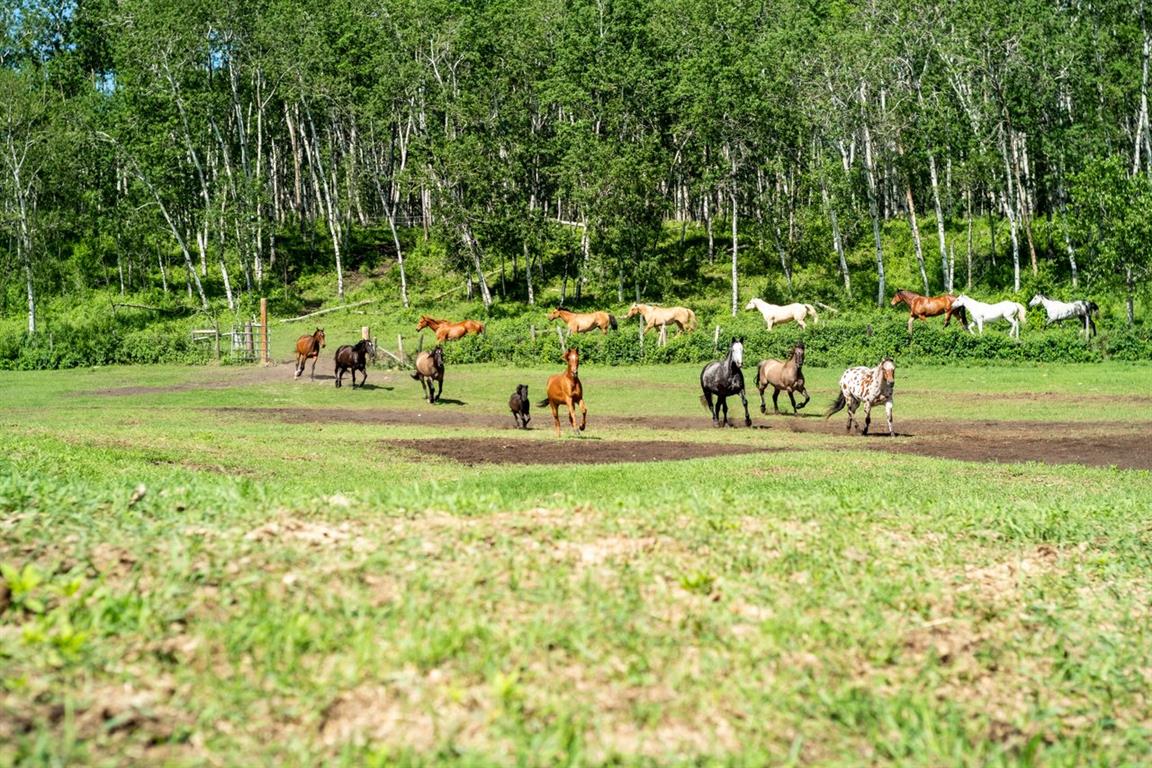 Sturgeon River Ranch